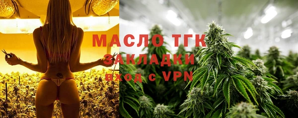 jwh Тайга