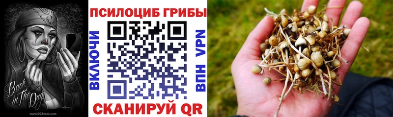 Купить где  Великие Луки  Псилоцибиновые грибы мухоморы 