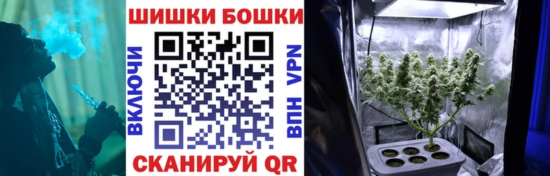 Купить закладки  Великие Луки  Конопля план 